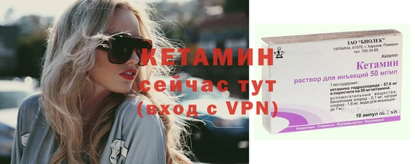 шишки Аркадак