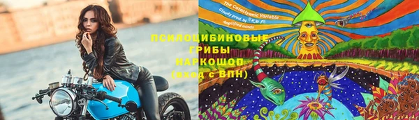 ешки Алексин