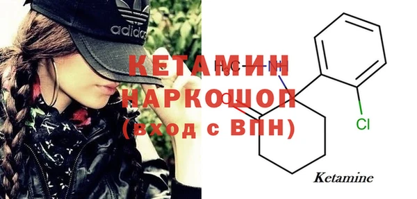 ешки Алексин